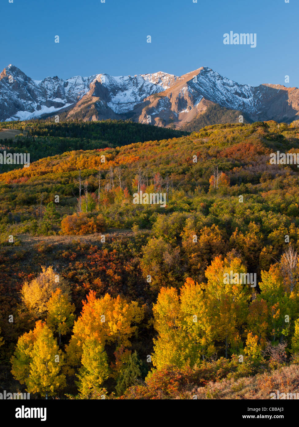 The Dallas Divide is a Colorado icon, well known for its vivid fall