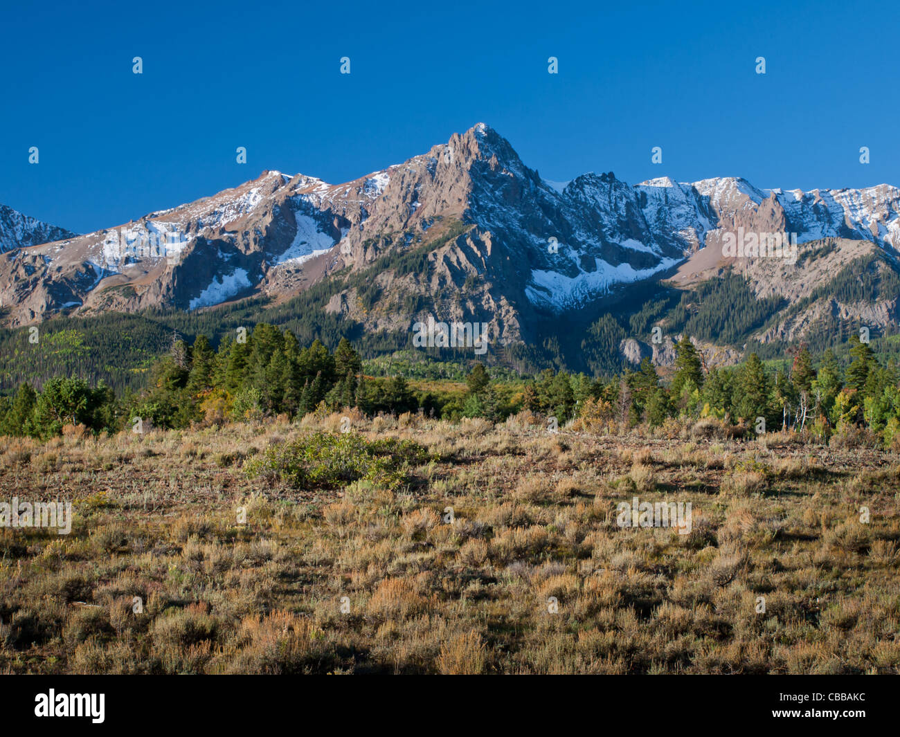 The Dallas Divide is a Colorado icon, well known for its vivid fall