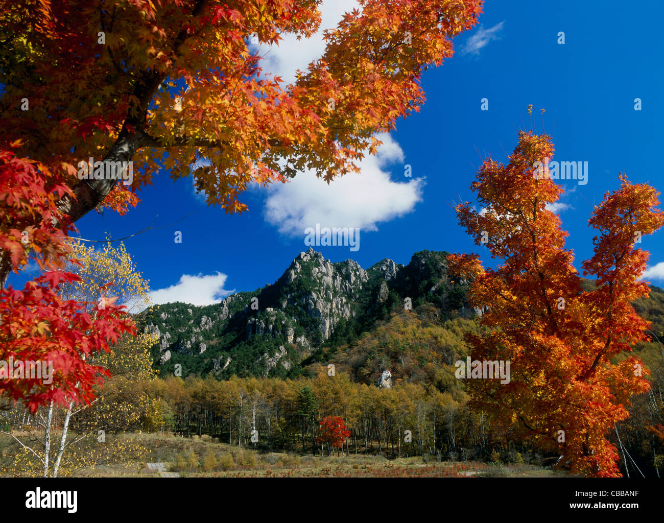 Mount Mizugaki and Mizugaki Natural Park, Hokuto, Yamanashi, Japan