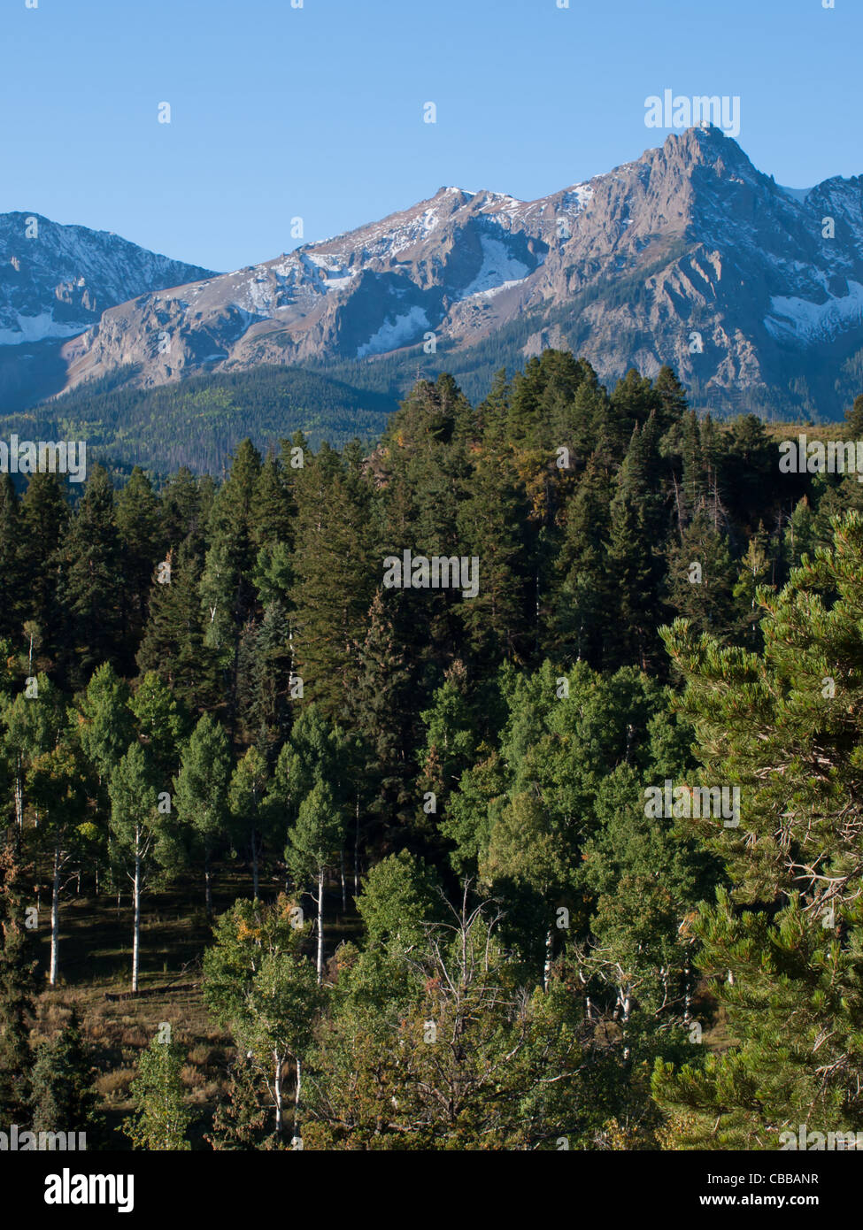 The Dallas Divide is a Colorado icon, well known for its vivid fall