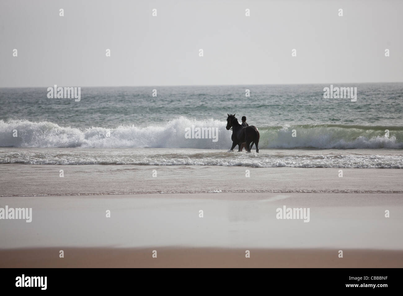 A man and a horse standing in the sea Stock Photo