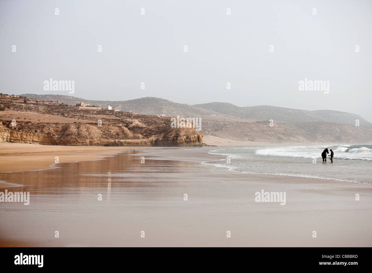 A man and a horse standing in the sea Stock Photo