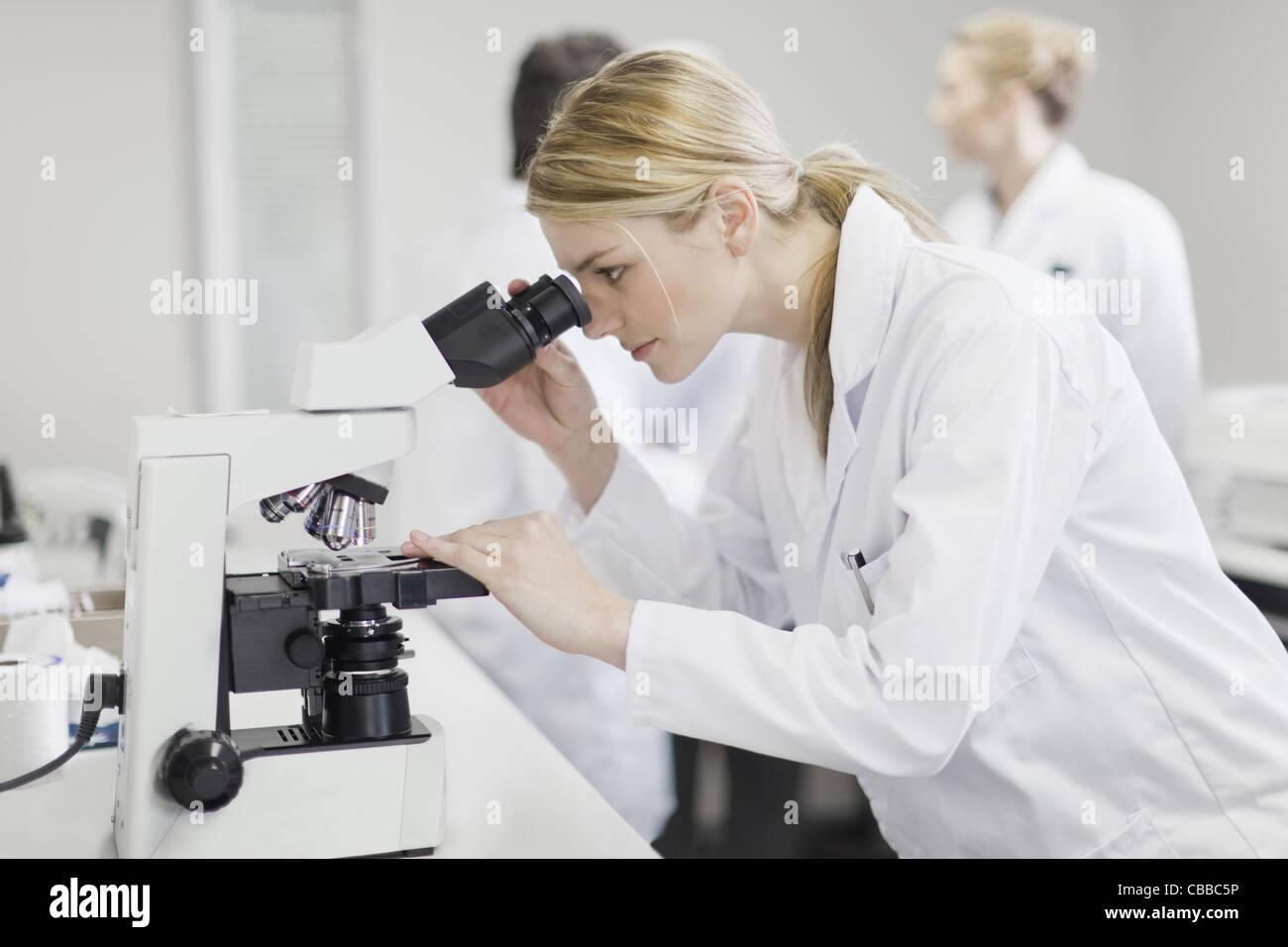 Scientist working in pathology lab Stock Photo