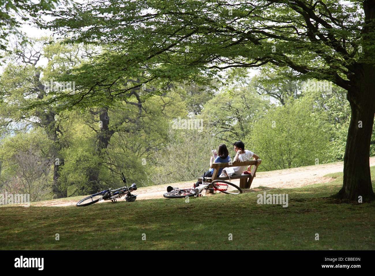 A young couple relax sitting on a hilltop bench in London's Richmond Park. Their bikes rest on the ground beside them. Stock Photo