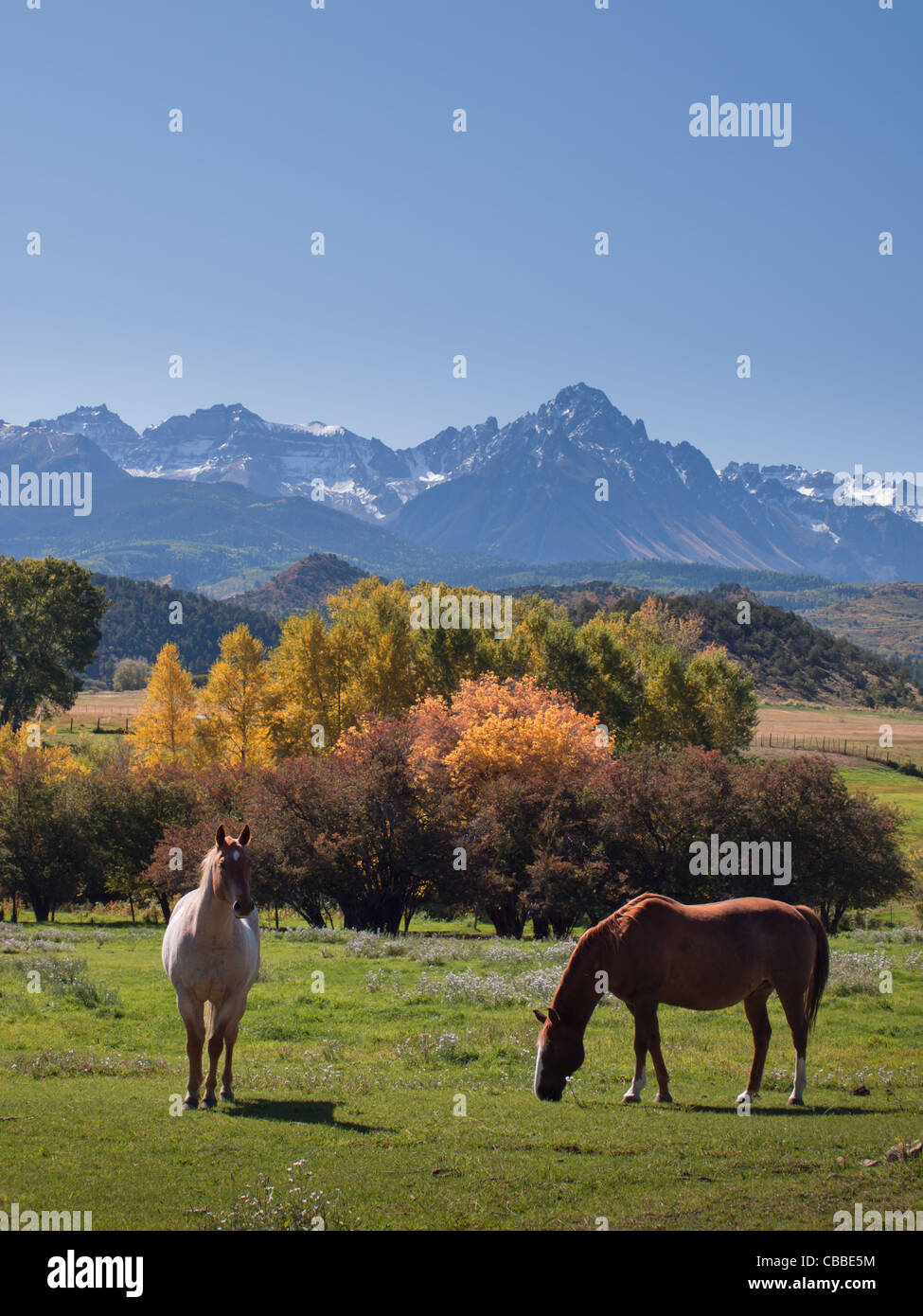 Horse pasture at the Double RL Ranch with a view of the Dallas Divide on the back. Stock Photo