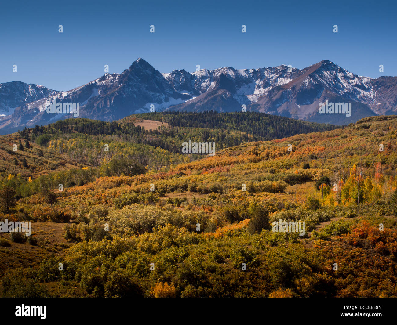 The Dallas Divide is a Colorado icon, well known for its vivid fall