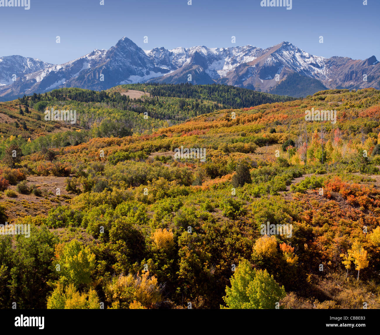 The Dallas Divide is a Colorado icon, well known for its vivid fall colors produced by scrub oak