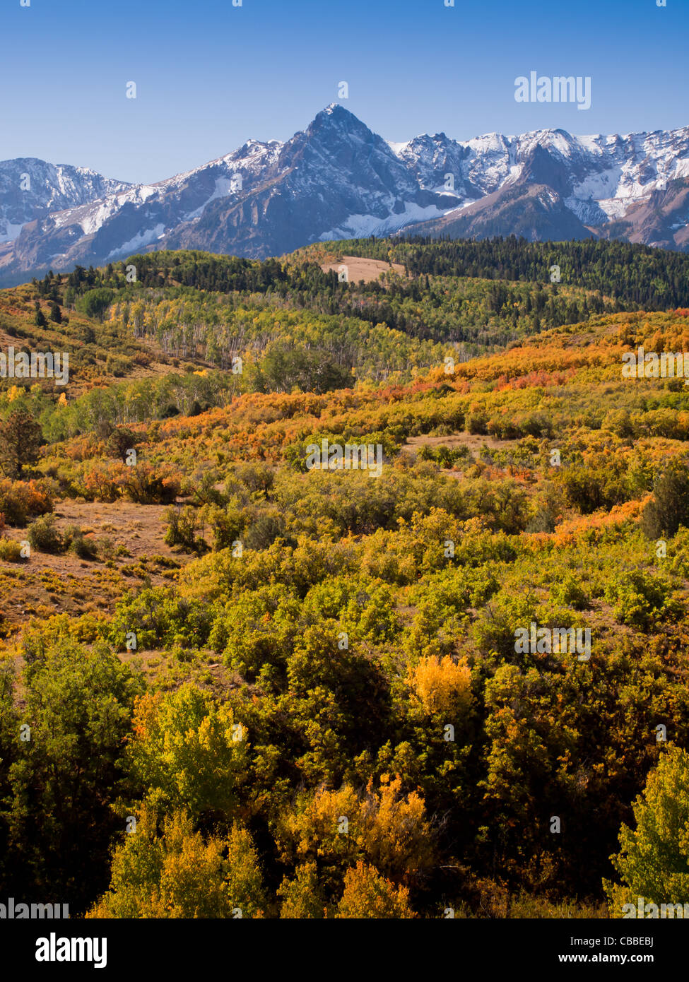 The Dallas Divide is a Colorado icon, well known for its vivid fall