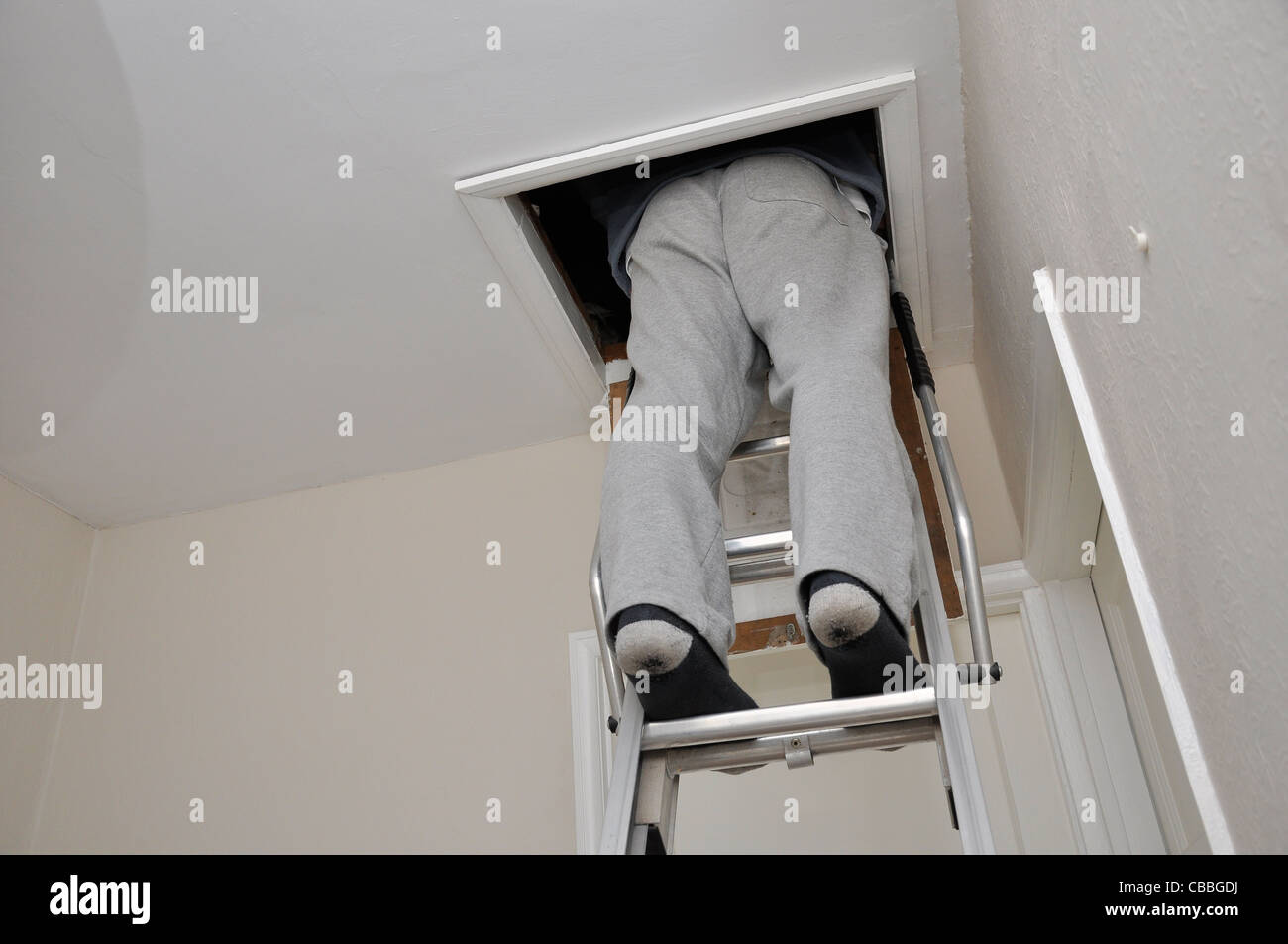 Man climbing ladder up into loft Stock Photo - Alamy