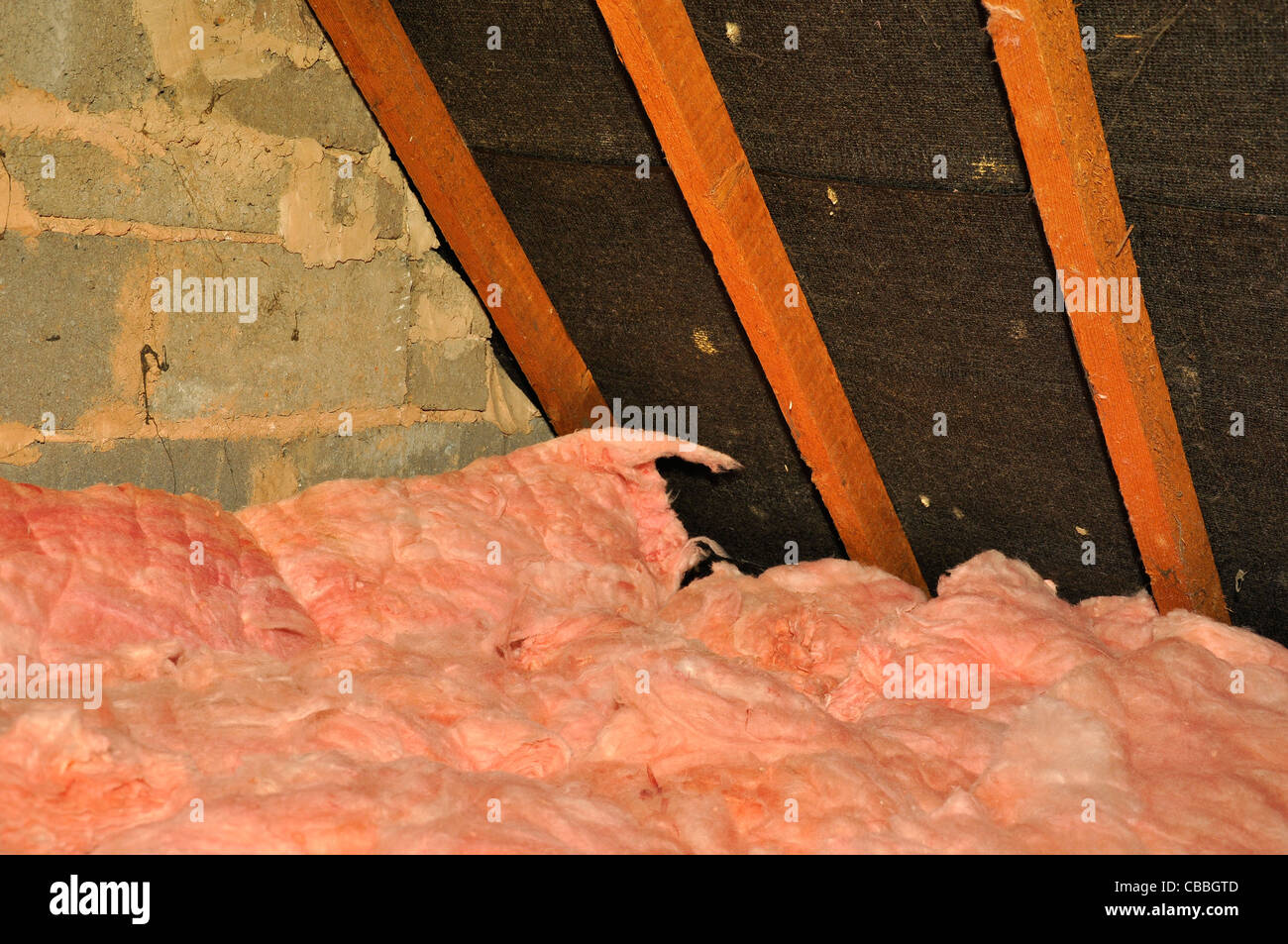 Loft insulation. Domestic building loft interior insulated with glass fibre Stock Photo Alamy
