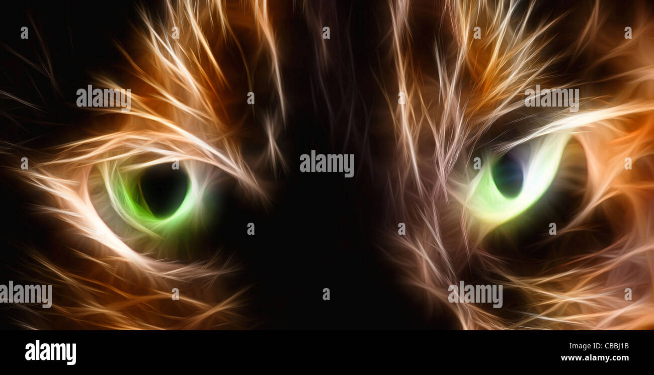 Close up of the eyes of an adult female Tortoiseshell or Brindle cat manipulated to produce an Evil Cat effect Stock Photo