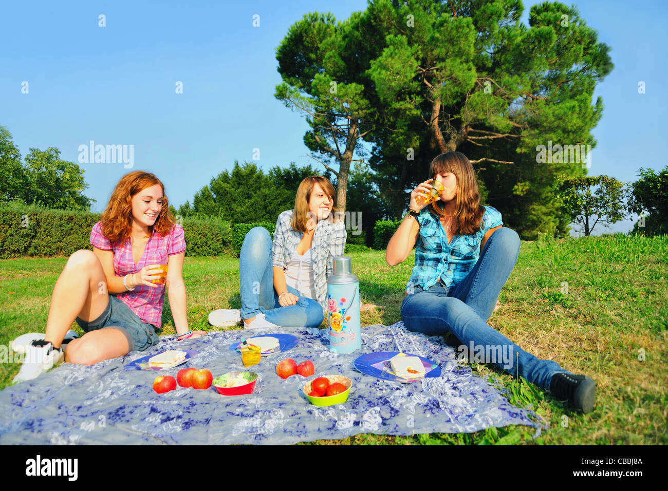 Picnic Pussy