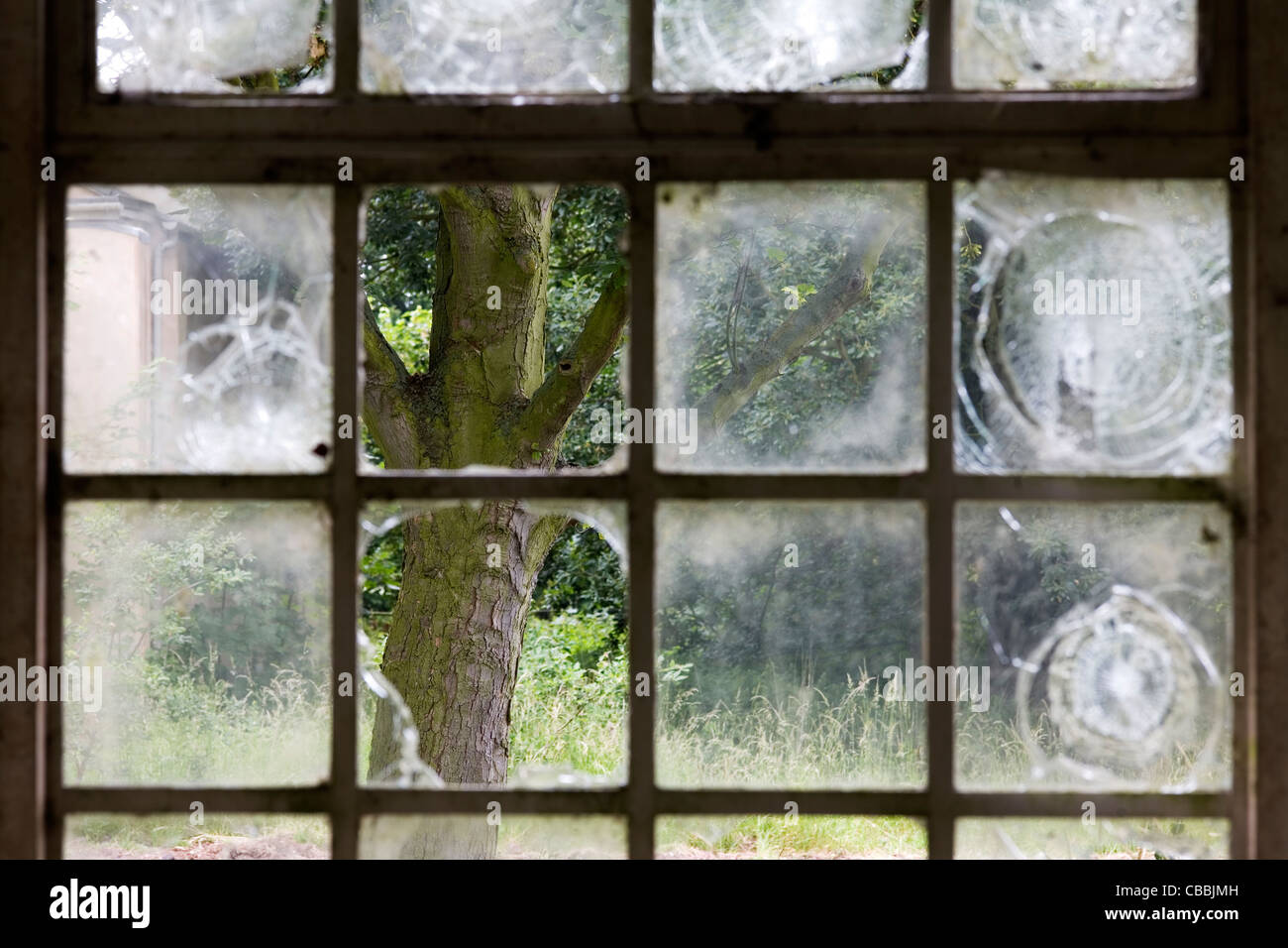 View of Tree through a Broken Window at RAF Newton in Urban Decay Stock