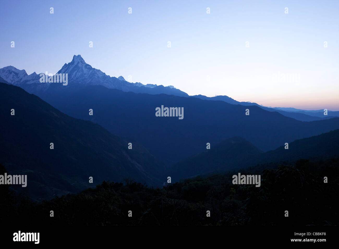 Slopes of Fishtail mountain, Machhapuchhare at dawn, from Tadapani, Annapurna Region, Himalayas, Nepal, Asia Stock Photo