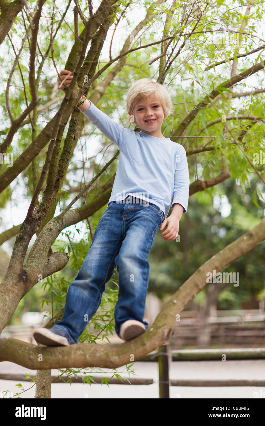 Smiling boy climbing tree Stock Photo - Alamy