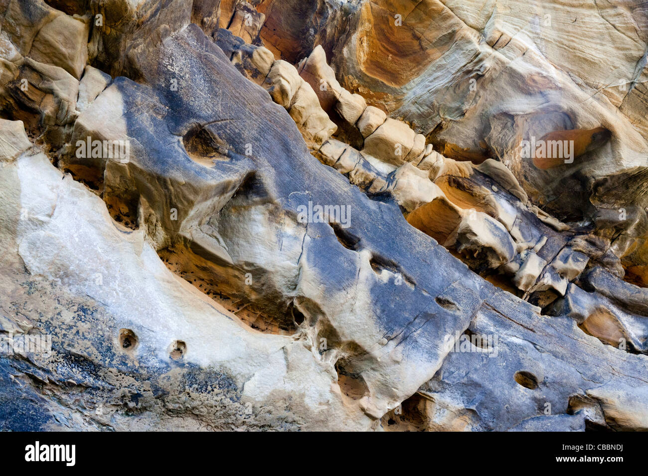 Effects of the water erosion ( waves and currents) on a section of the
