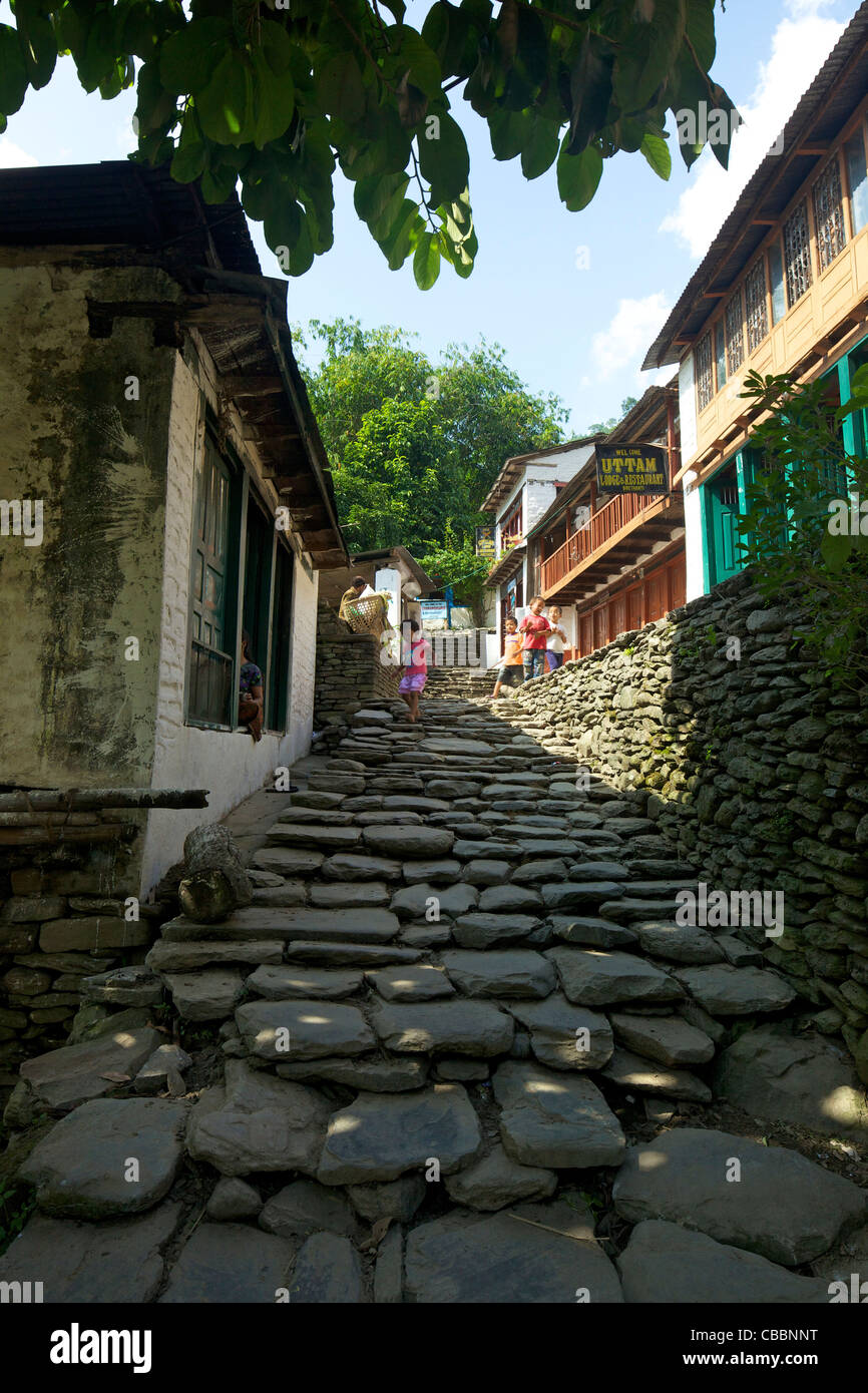 Teahouses and main path through Birethanti village, Annapurna Sanctuary Region, Himalayas, Nepal, Asia Stock Photo