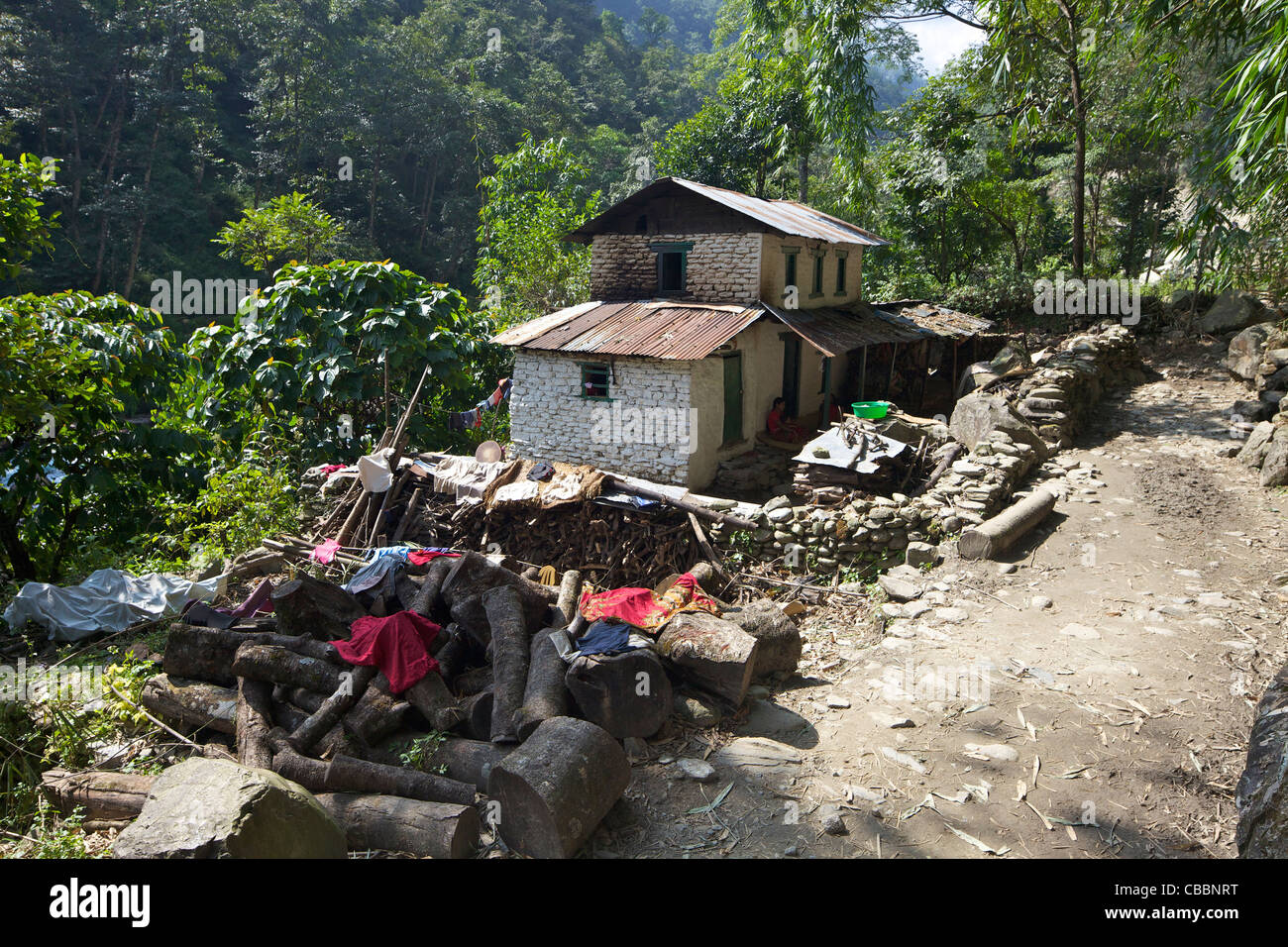 Traditional house in Birethanti, Annapurna Sanctuary Region, Nepal, Asia Stock Photo