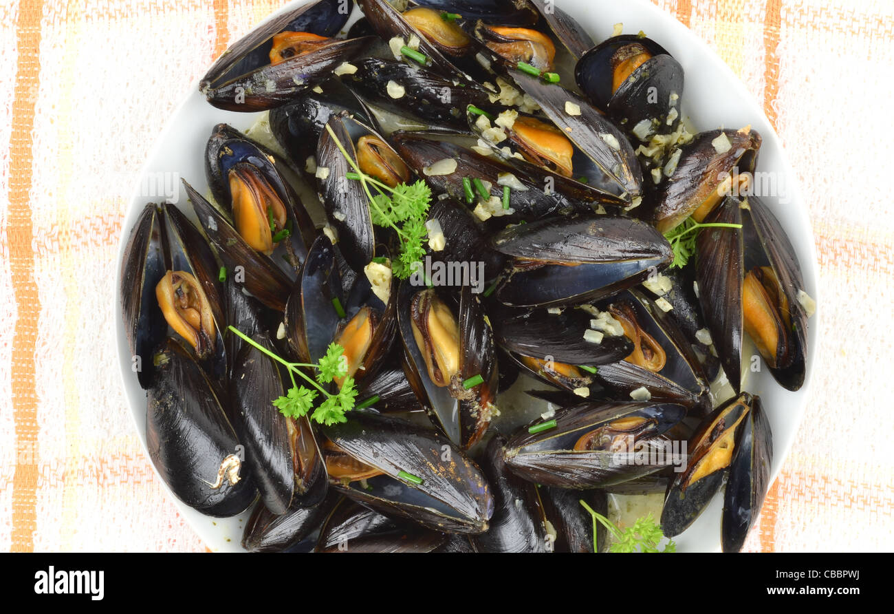 Moules Mariniere a classic seafood dish of steamed mussels with garlic