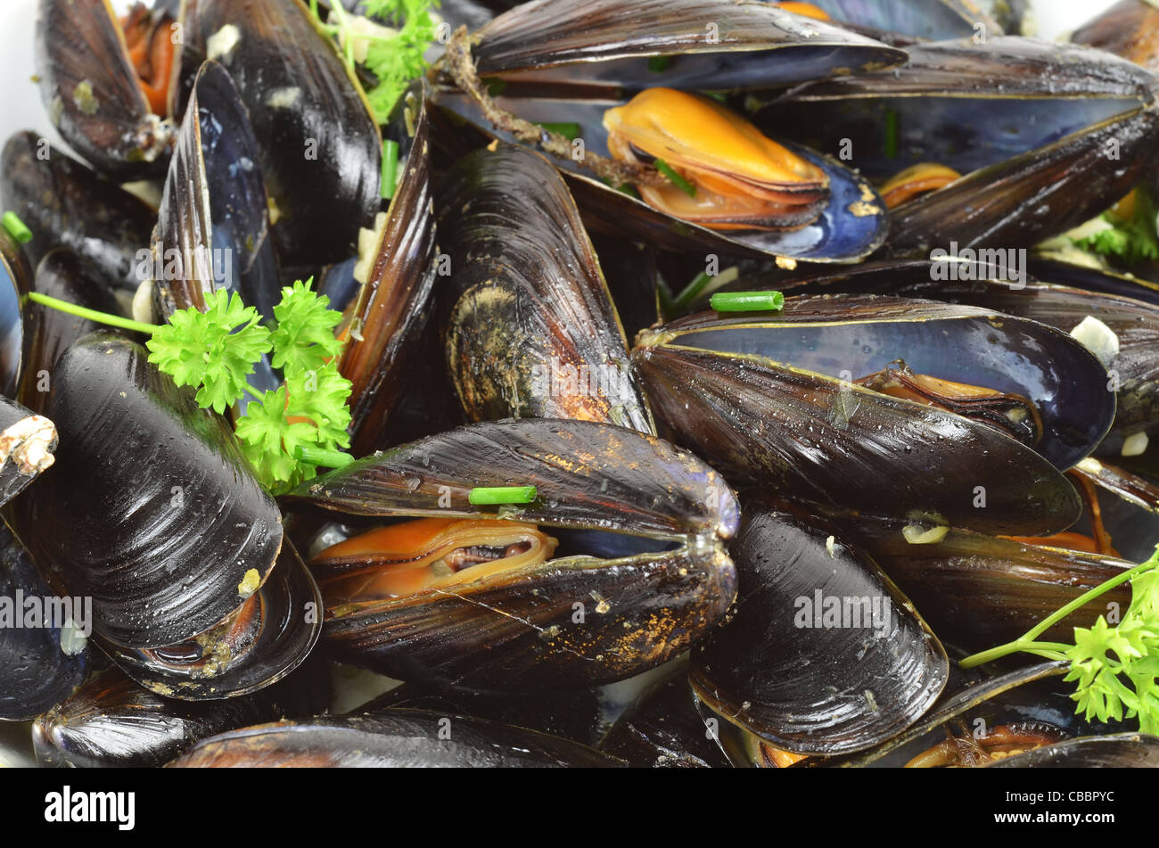 Moules Mariniere a classic seafood dish of steamed mussels with garlic