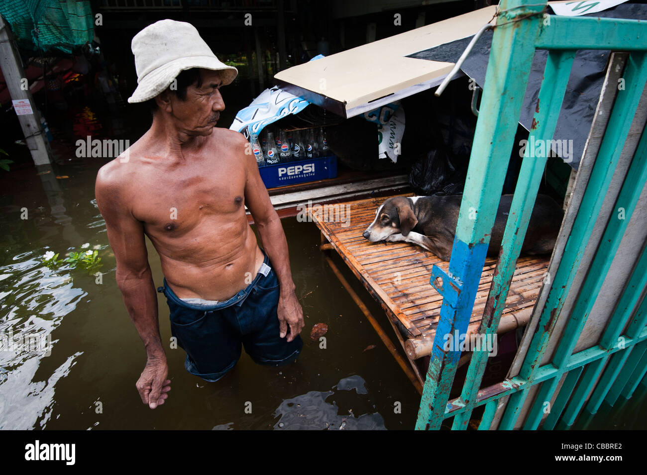 A man and his dog during flooding in Thailand 2011 Stock Photo - Alamy