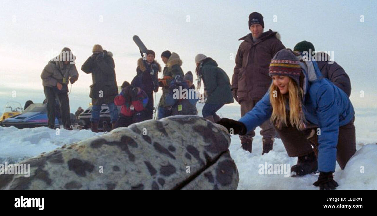 THE BIG MIRACLE 2011 Universal Pictures film with Drew Barrymore Stock Photo Alamy THE BIG MIRACLE 2011 Universal Pictures film with Drew Barrymore Stock Photo Alamy