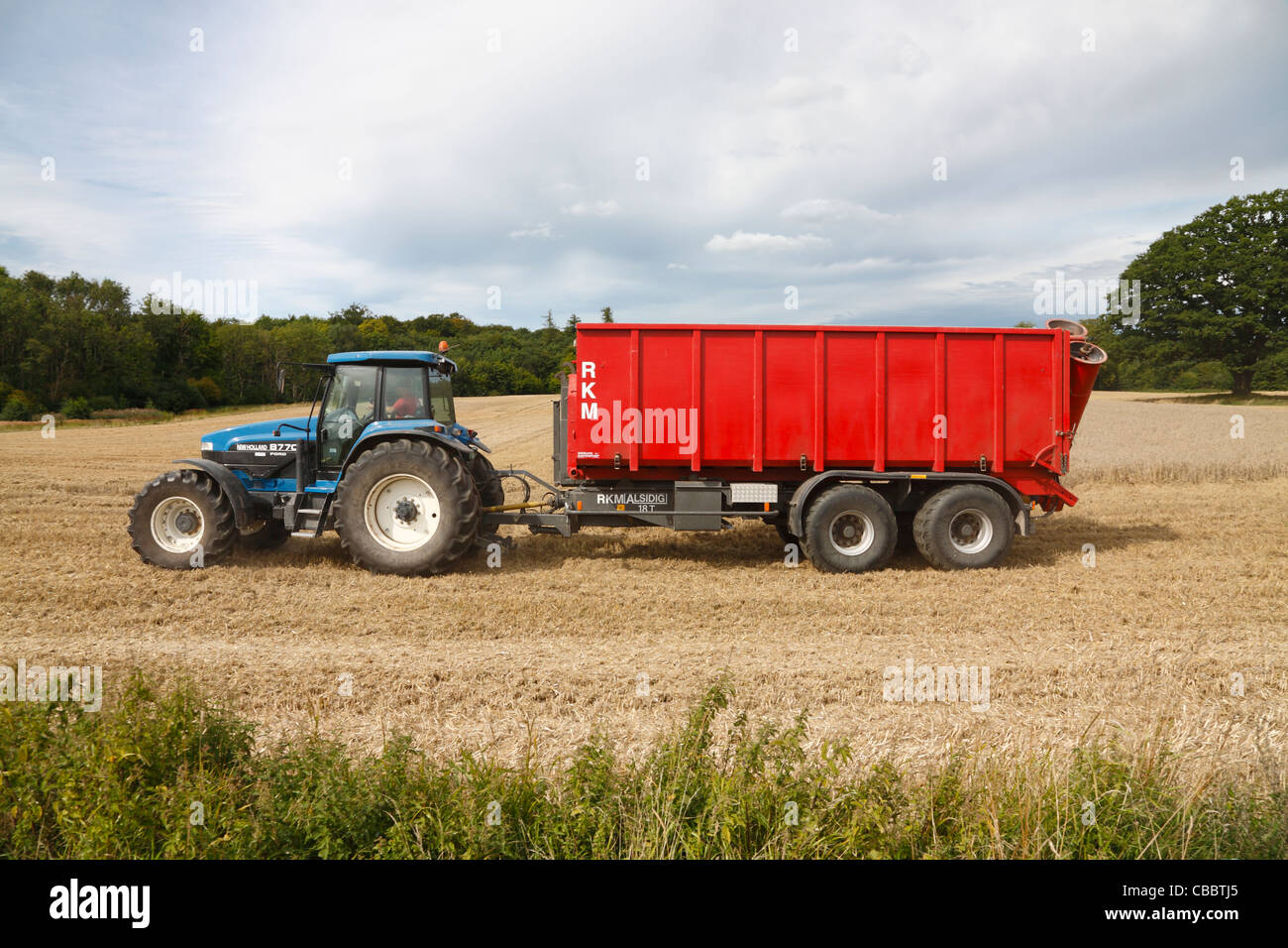 Tractor and trailer waiting for a load of wheat from a combine harvester harvesting the field before the weather changes Stock Photo