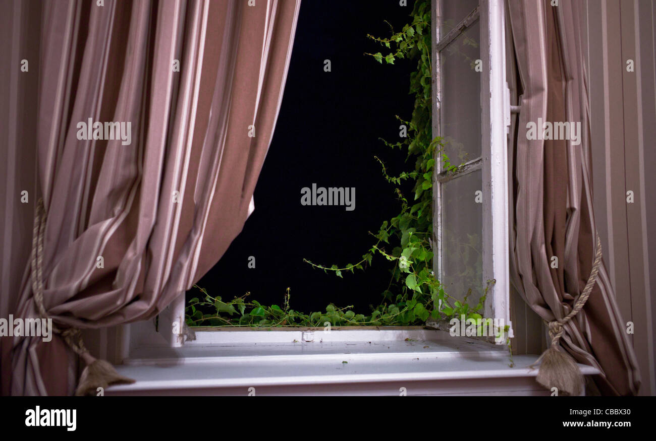 Stranger Outside Window Stranger window hi-res stock photography and images - Alamy