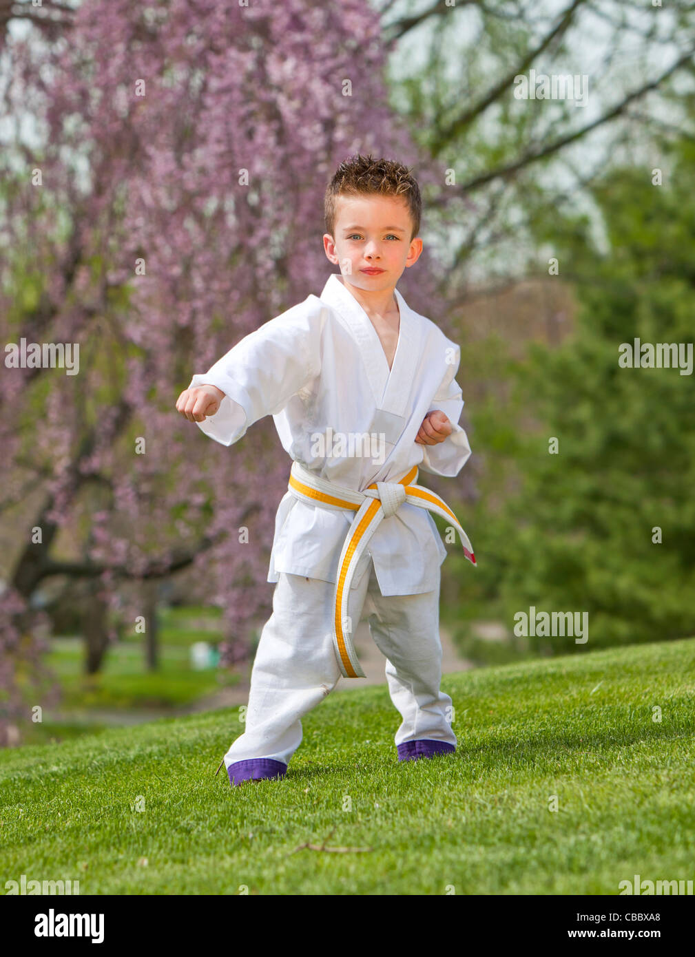 Young boy practicing martial arts outside in spring Stock Photo Alamy