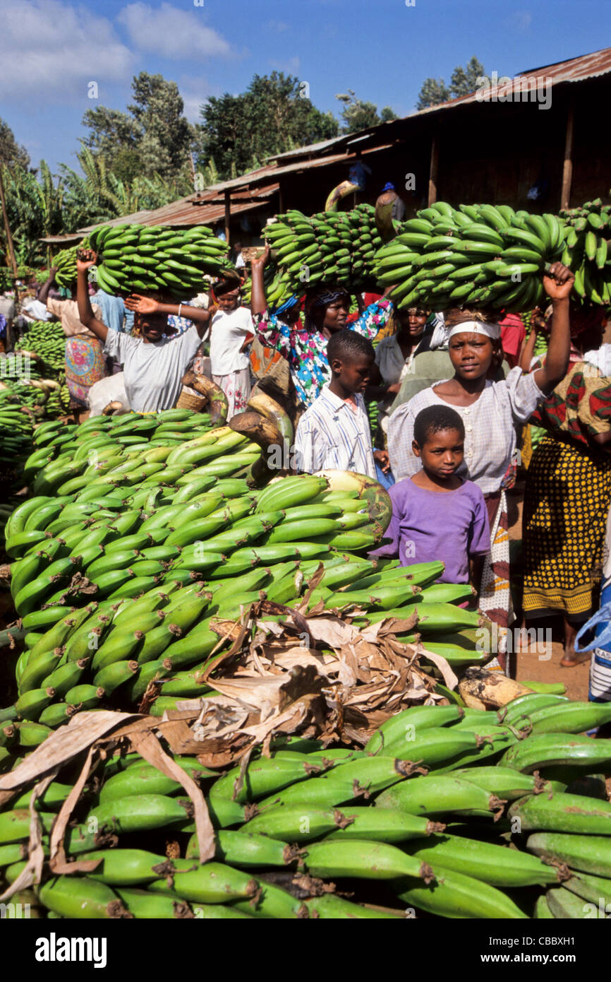 Busy market for cooking bananas in Mwika Village, Kilimanjaro, Tanzania Stock Photo