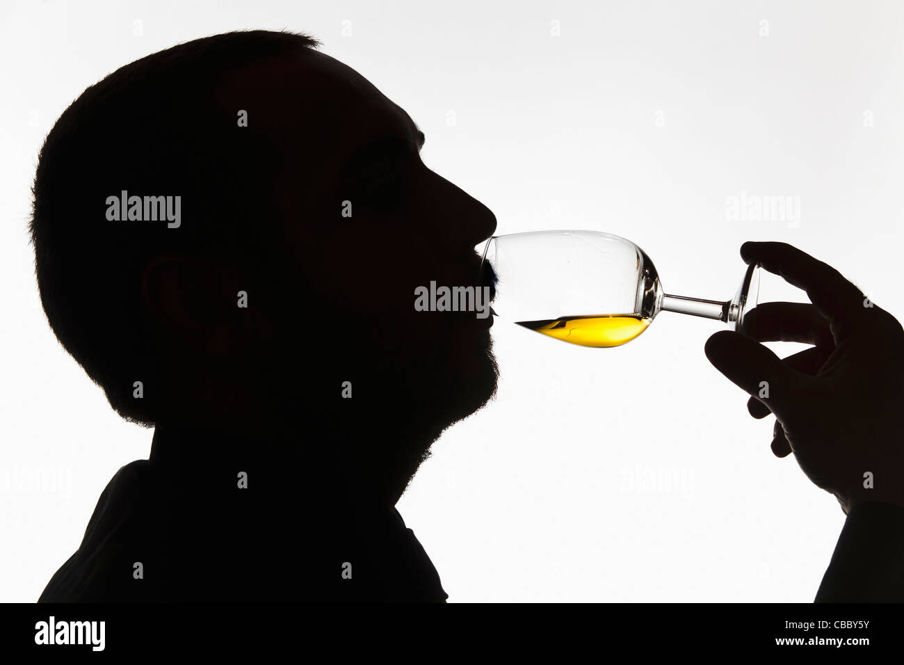 Whisky tasting hires stock photography and images Alamy