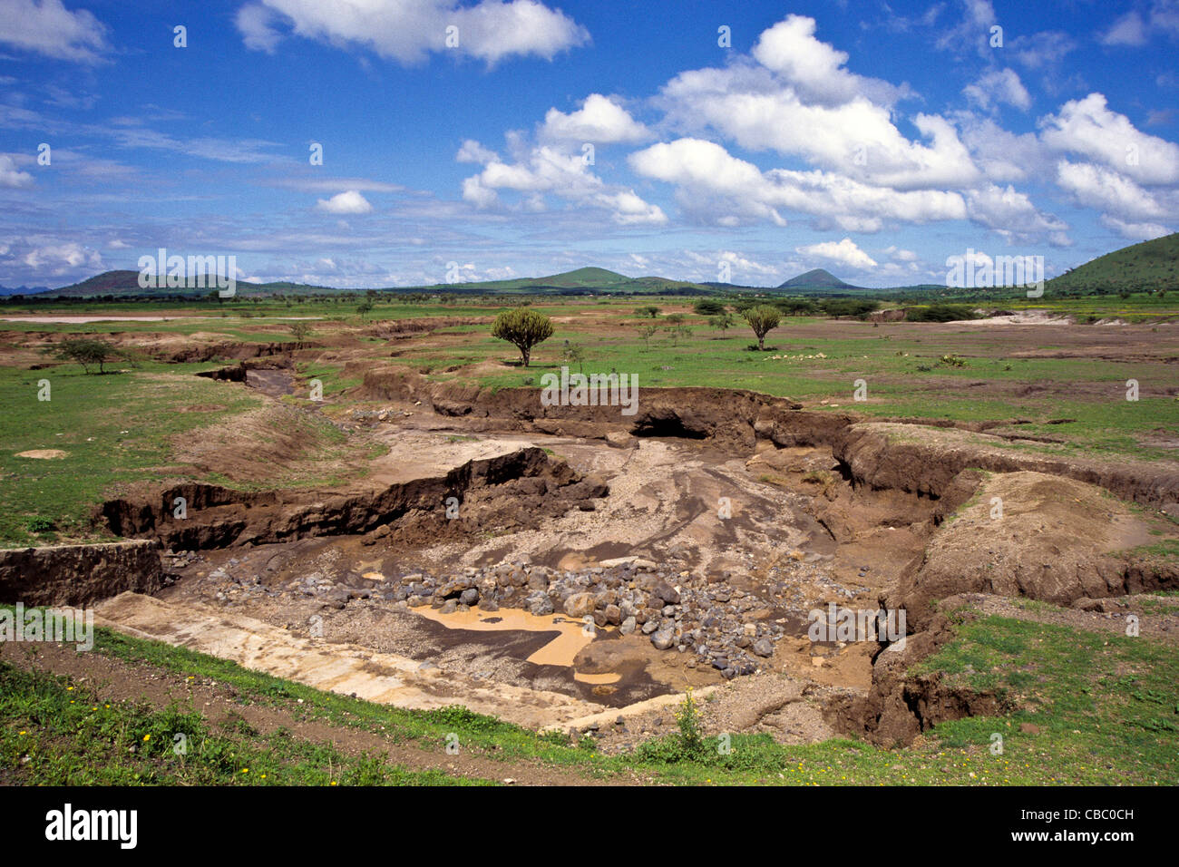 Soil erosion due to overgrazing in Arusha Tanzania Stock Photo