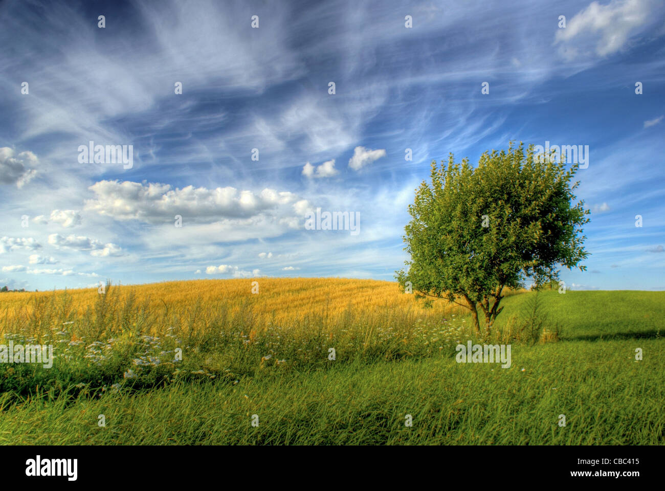 Summer sky in Suwalski Landscape Park. Poland. Stock Photo