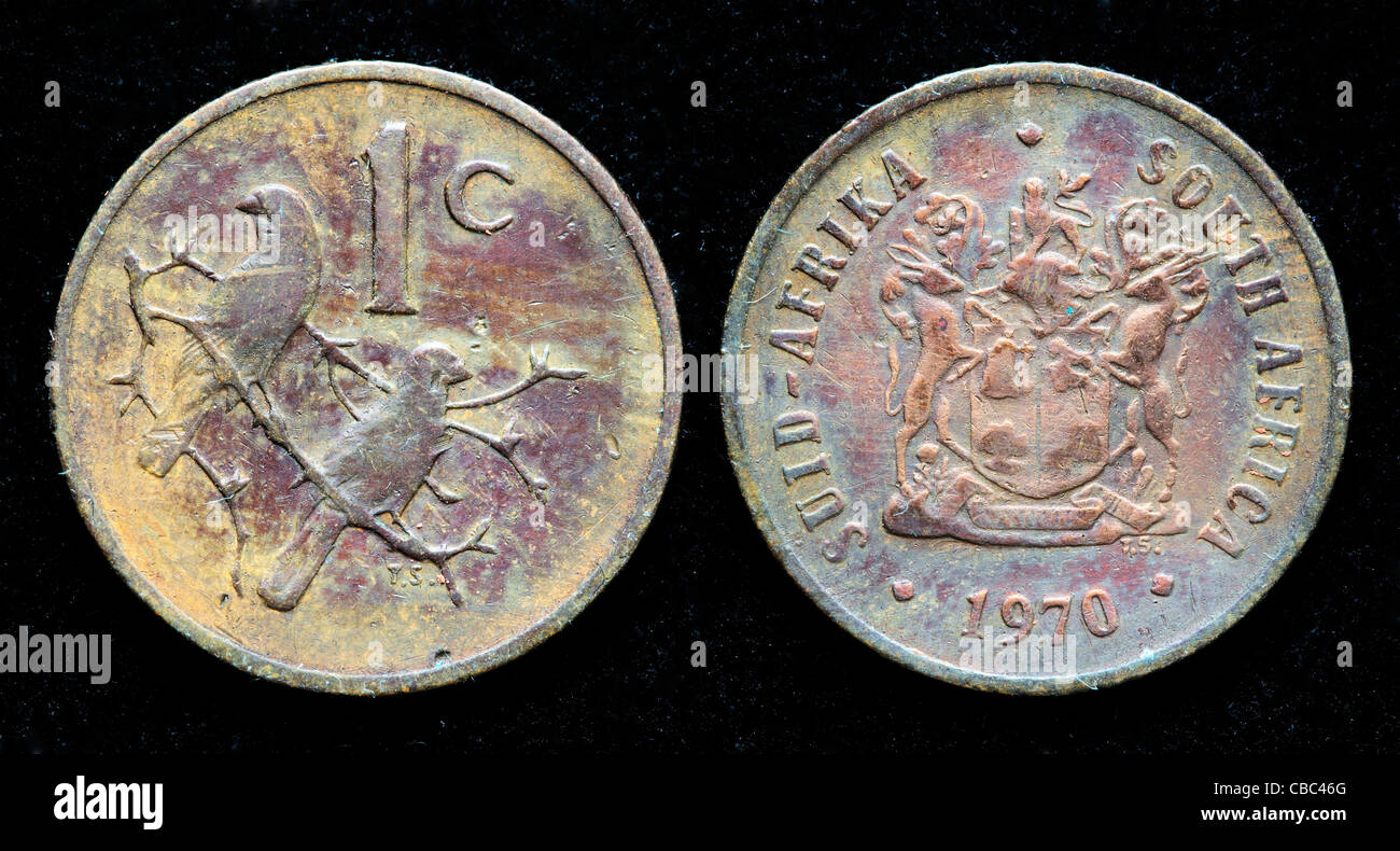 1 Cent Coin South Africa 1970 Stock Photo Alamy new-coins-for-south-africa-daily-investor
