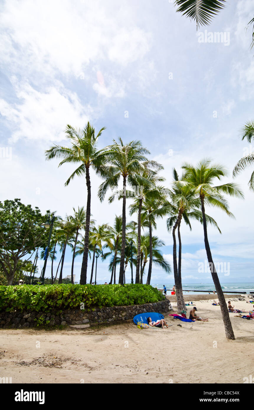 Waikiki beach marriott resort hi-res stock photography and images - Alamy