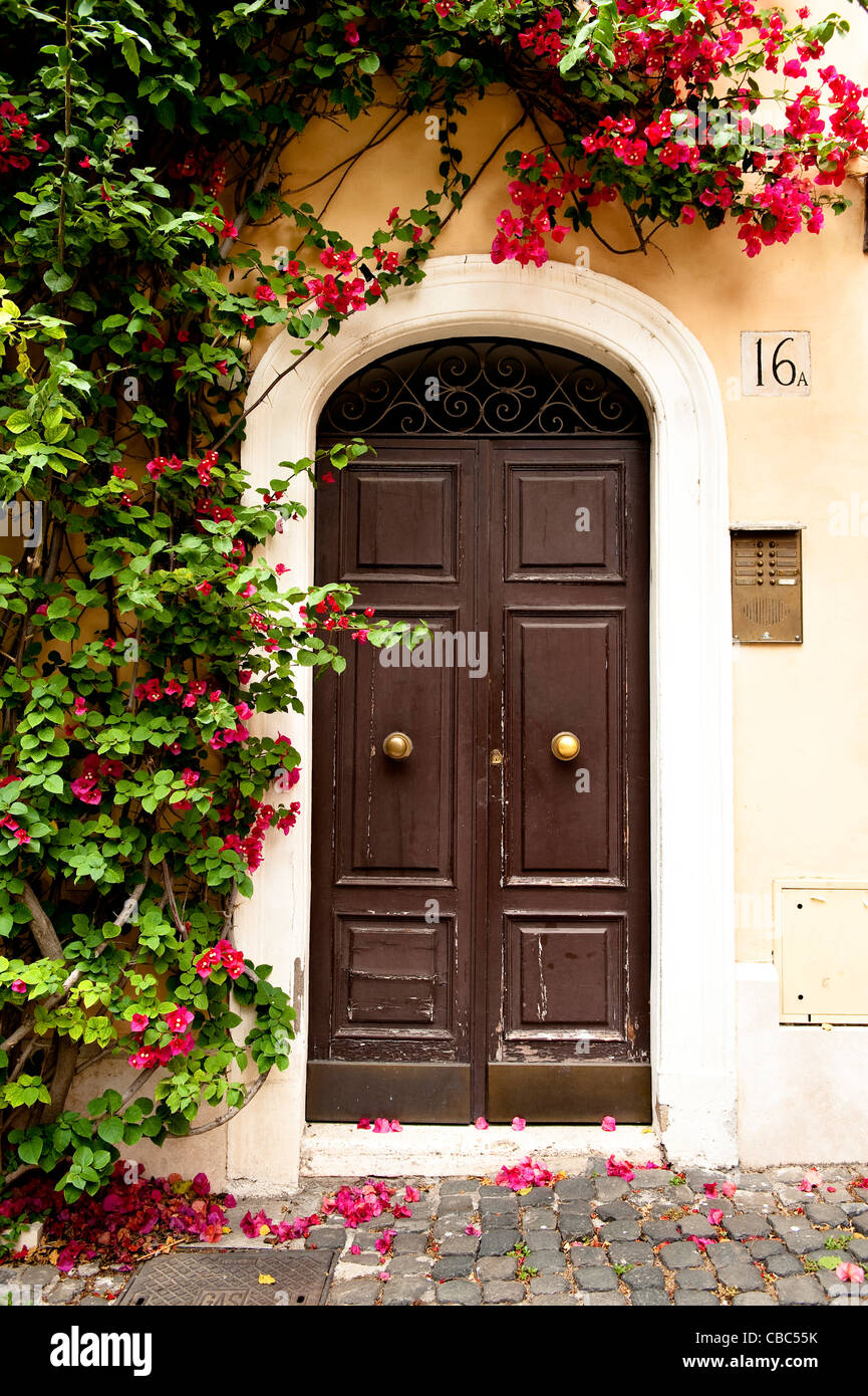 Bougainvillea Flowers Decorate A Doorway In The Historic