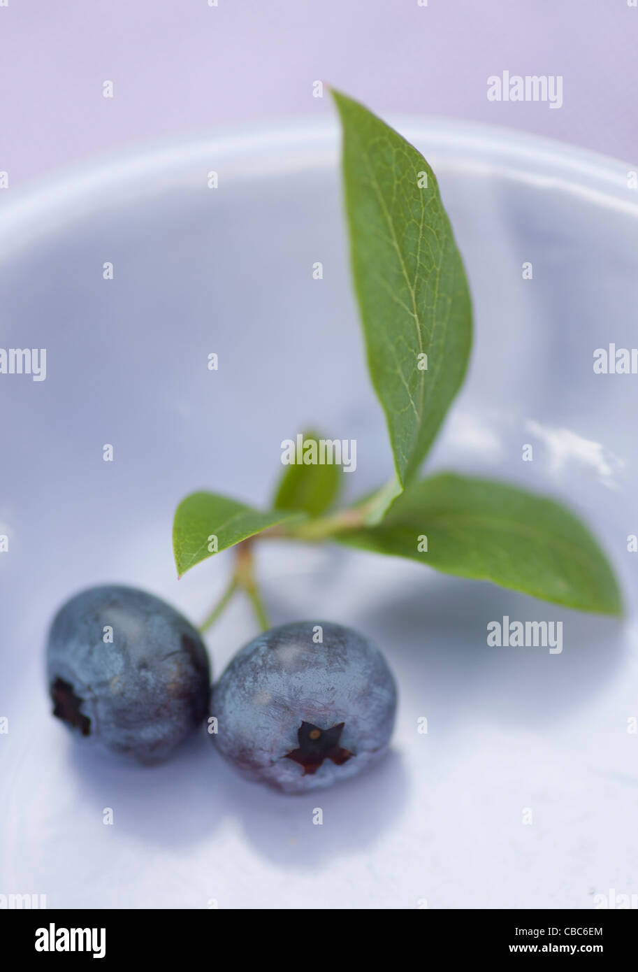 Close up of blueberries Stock Photo