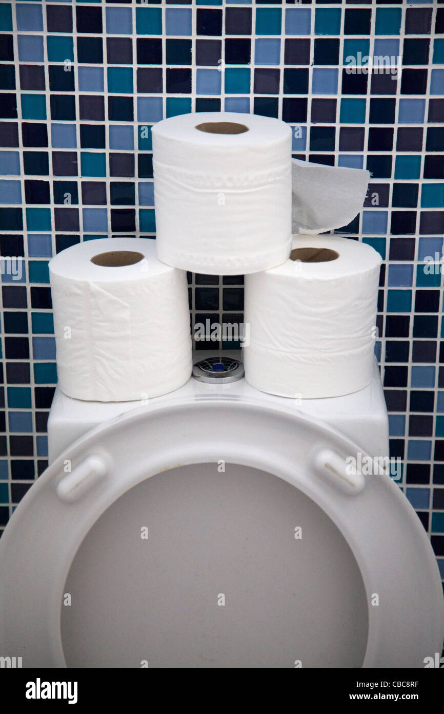 Toilet Rolls above Toilet seat Stock Photo Alamy