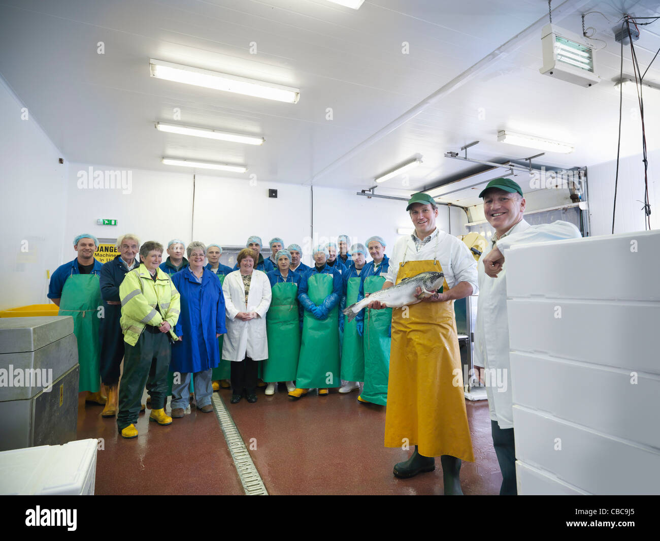 Workers in fish processing plant Stock Photo Alamy