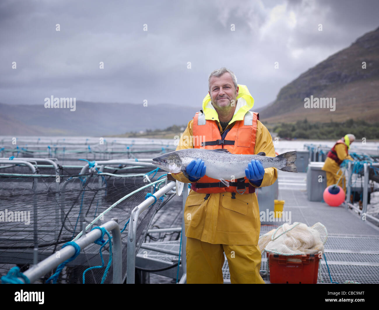 Worker holding salmon at fish farm Stock Photo