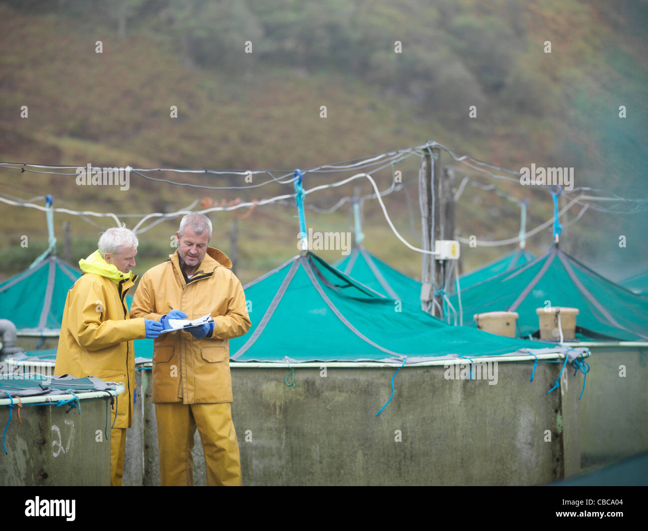 Workers talking at fish farm Stock Photo