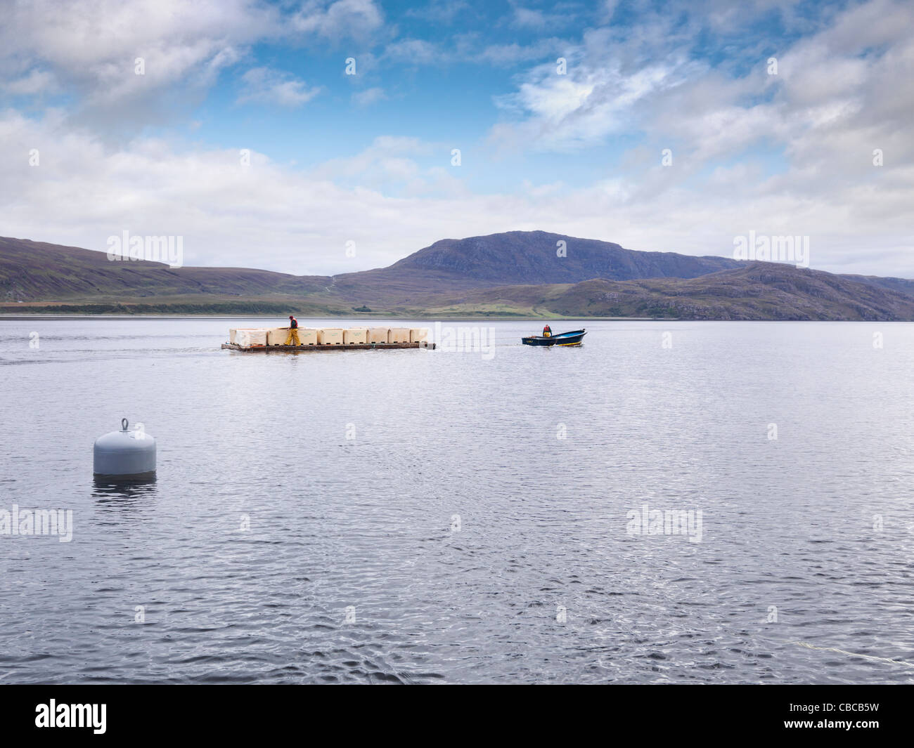 Barge carrying harvested fish Stock Photo
