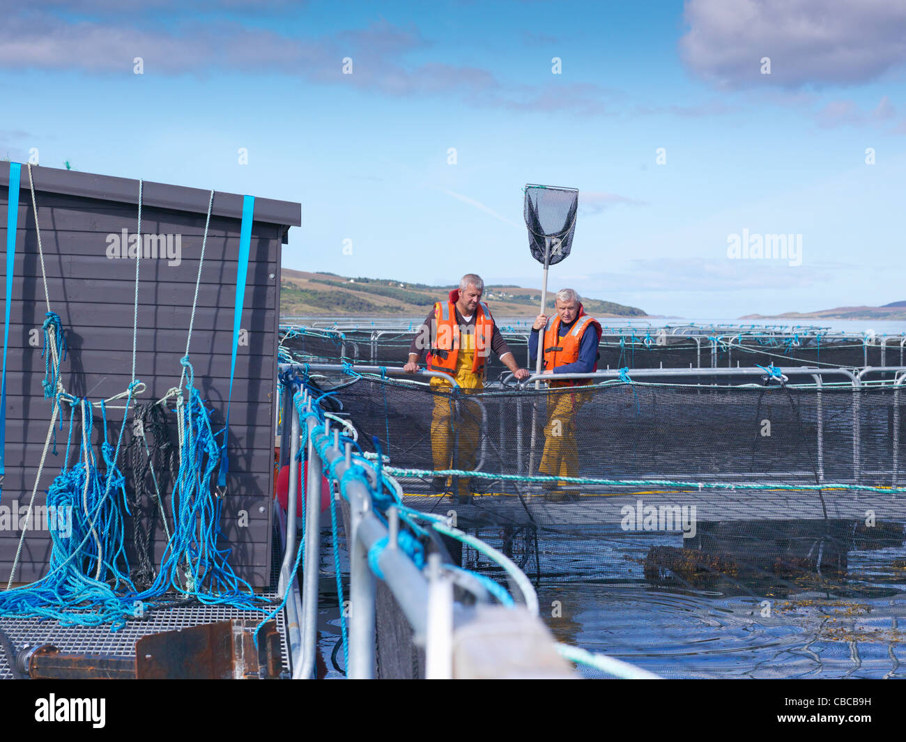 Workers standing in fish farm Stock Photo