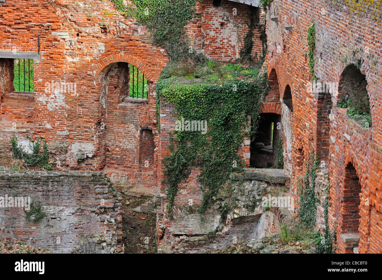 Inner walls of red bricks in ruins covered in ivy of the medieval Beersel Castle, Belgium Stock Photo