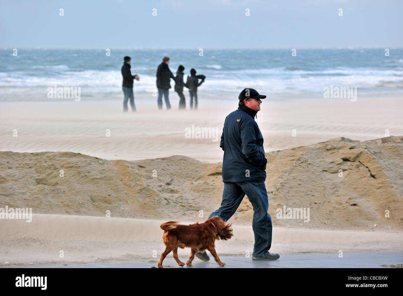 Man walking on sea dyke with dog during stormy weather along the North Sea at Nieuwpoort, Belgium Stock Photo