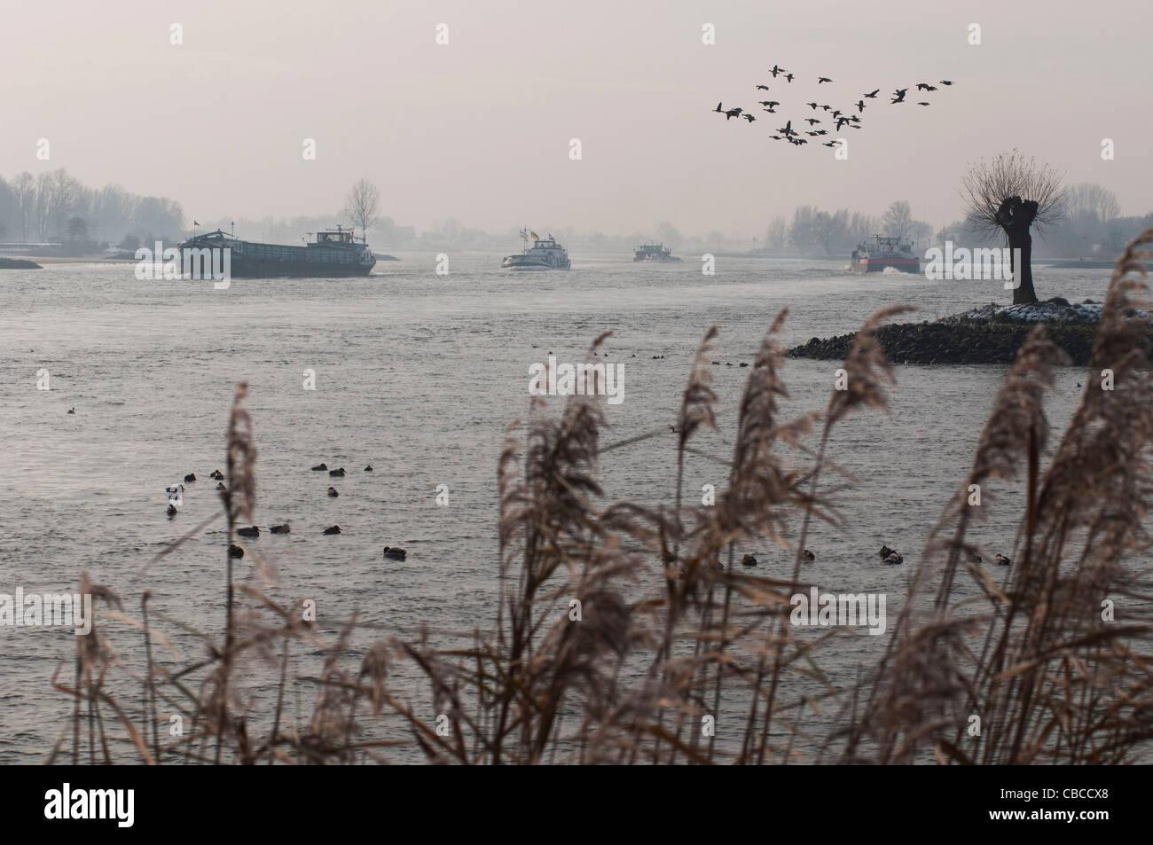 misty view at the river Lek / Rhine Stock Photo