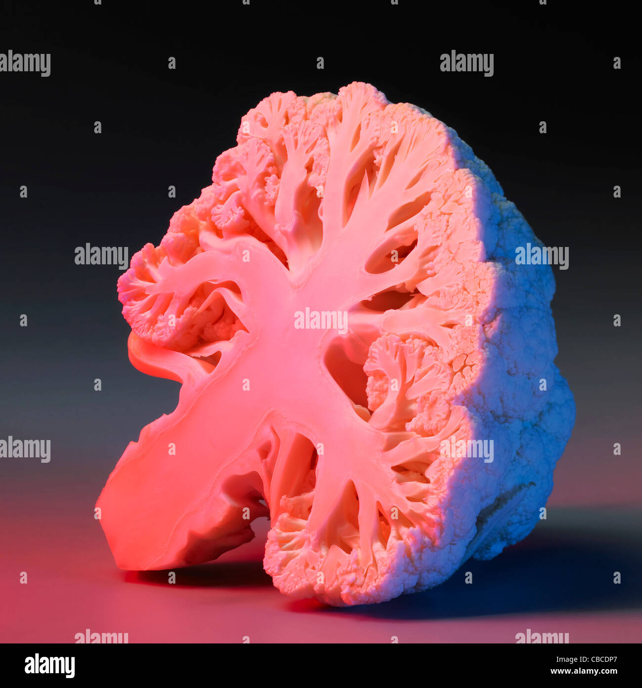A cauliflower cross section hires stock photography and images Alamy