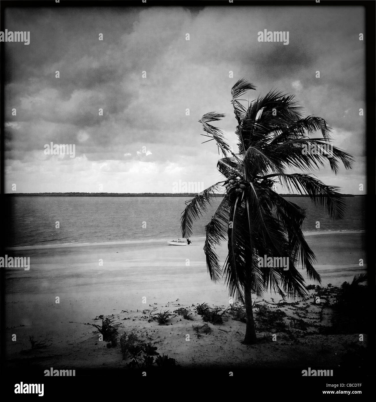 WIND AND SEA 
