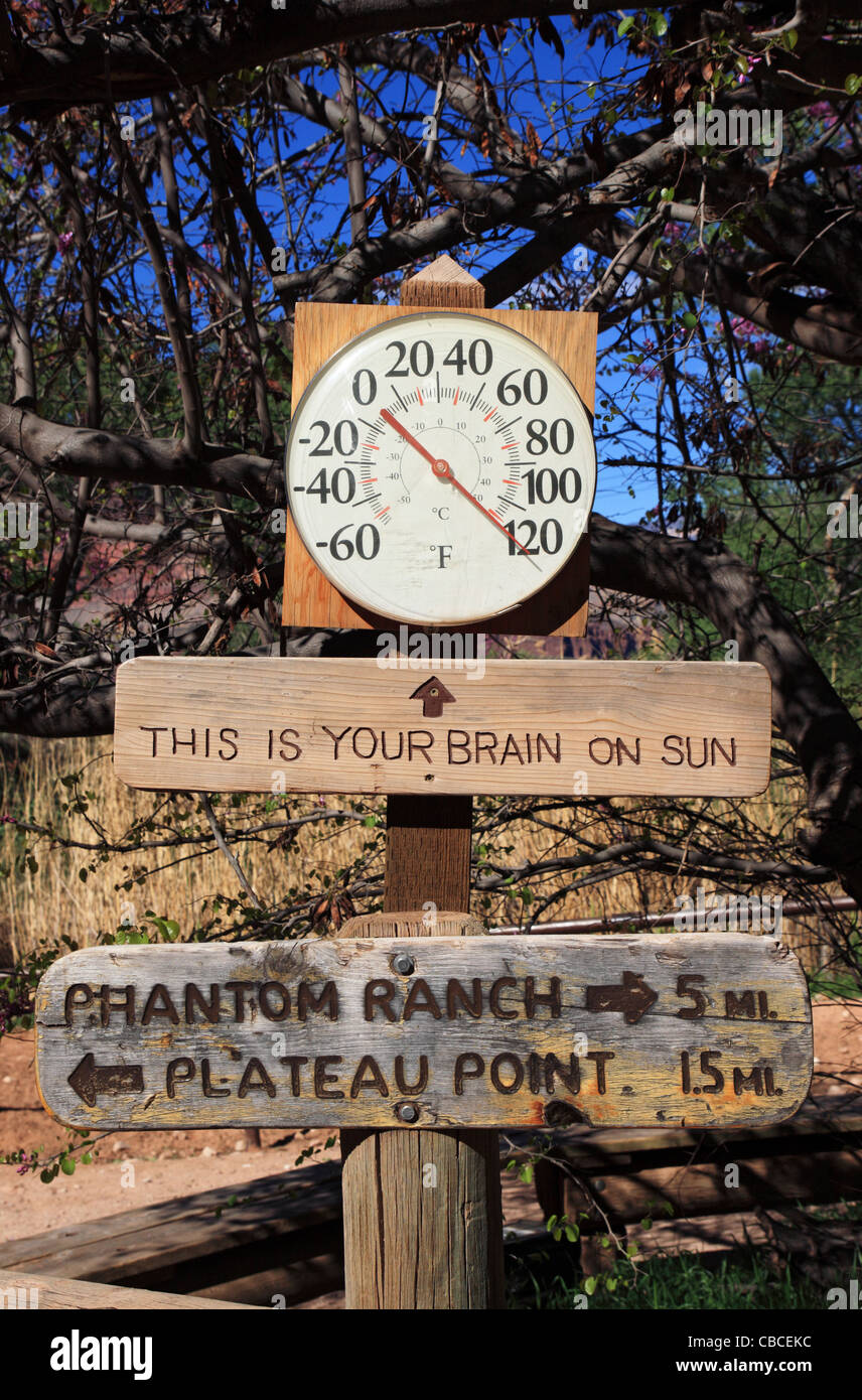 this is your brain on sun sign in the Grand Canyon with thermometer at a hot 120 degrees F Stock Photo