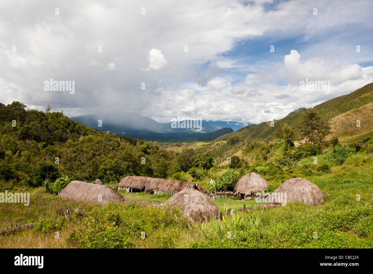 Traditional Dani Village at Baliem Valley, West Papua, Indonesia Stock Photo